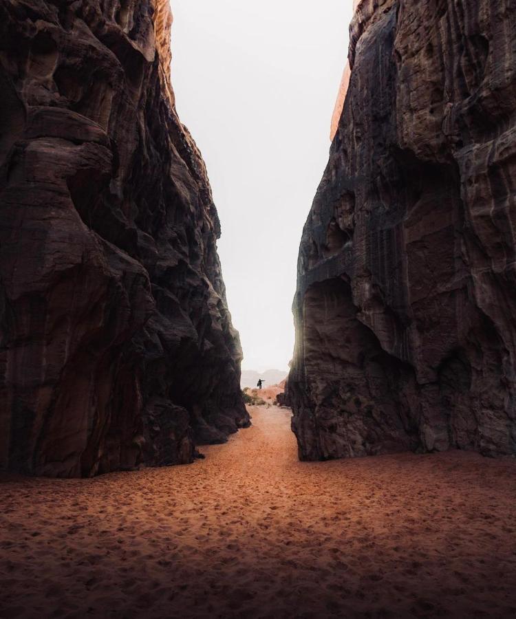 Wadirum Zeid Camp&Tours Wadi Rum Exterior foto